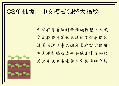 CS单机版：中文模式调整大揭秘