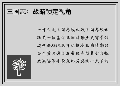三国志：战略锁定视角